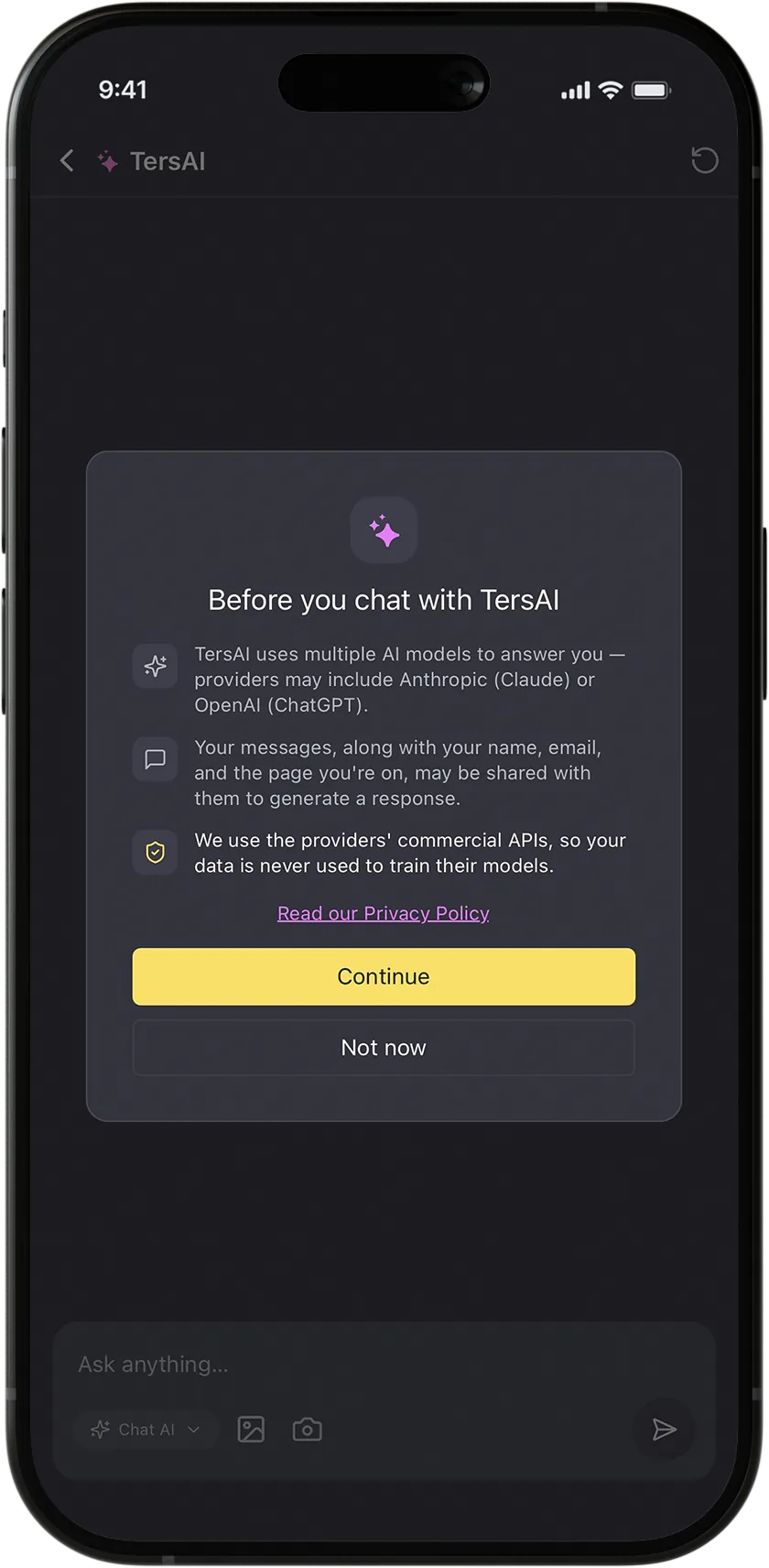 TersAI privacy notice explaining its AI providers and data handling before chat begins.