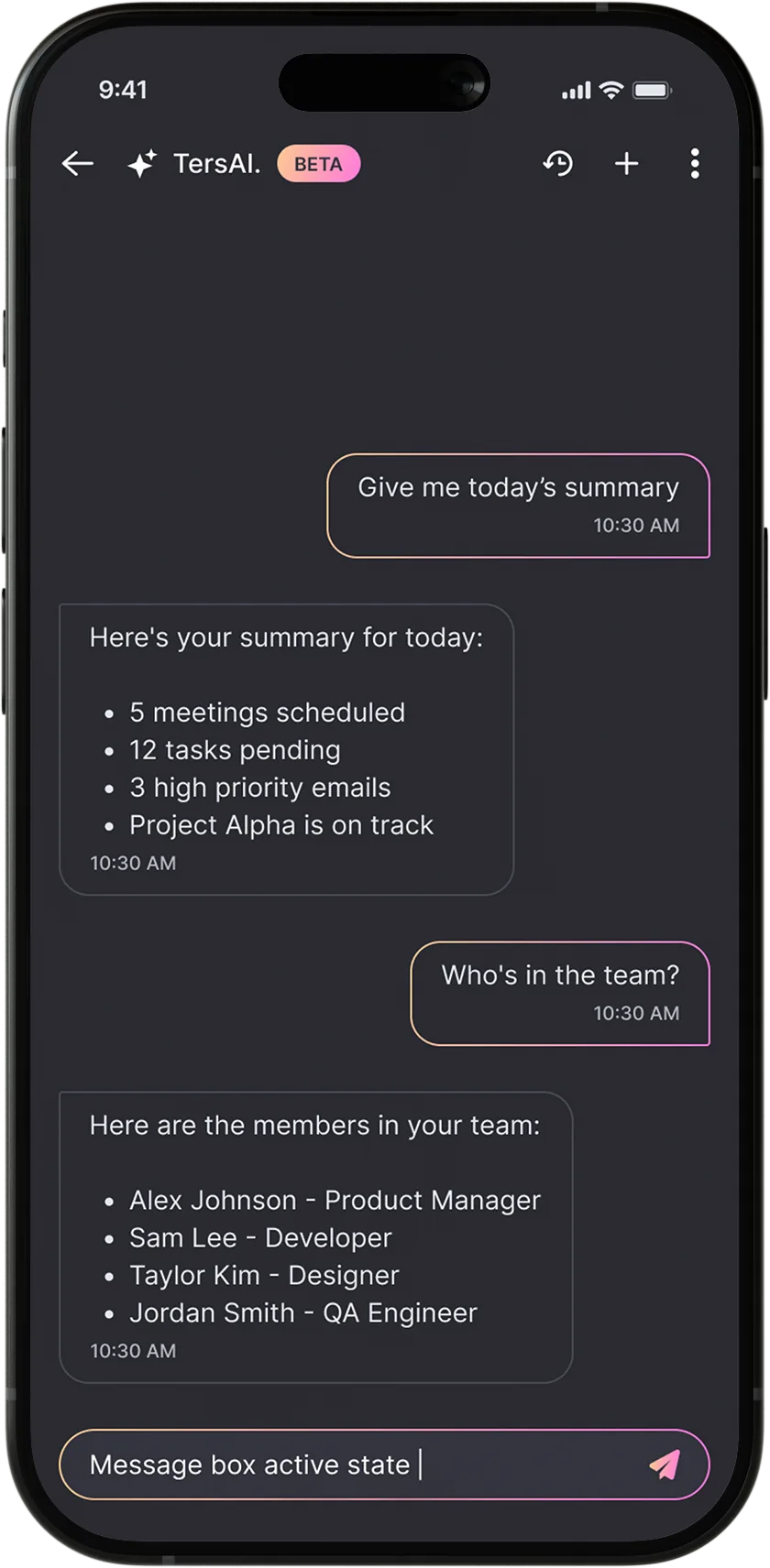 TersAI conversation showing a daily summary, team information, and the active message composer.